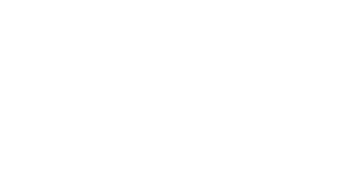 paynt-logo-white